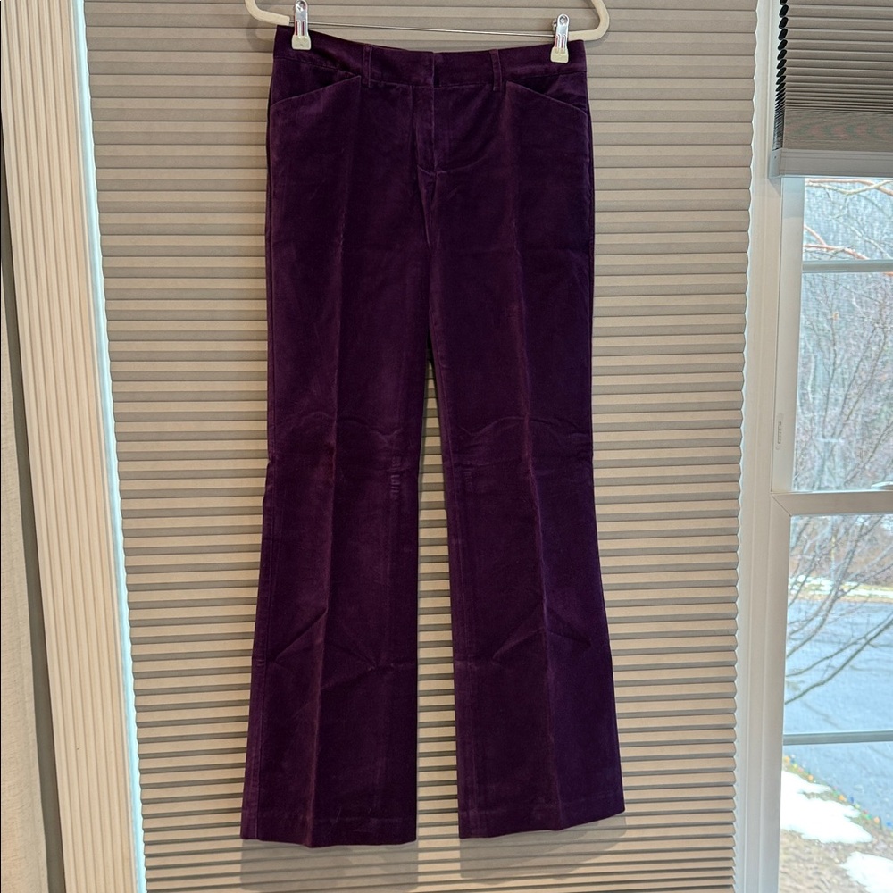 NEW Express Design Studio Purple Velvet Pants - size 4